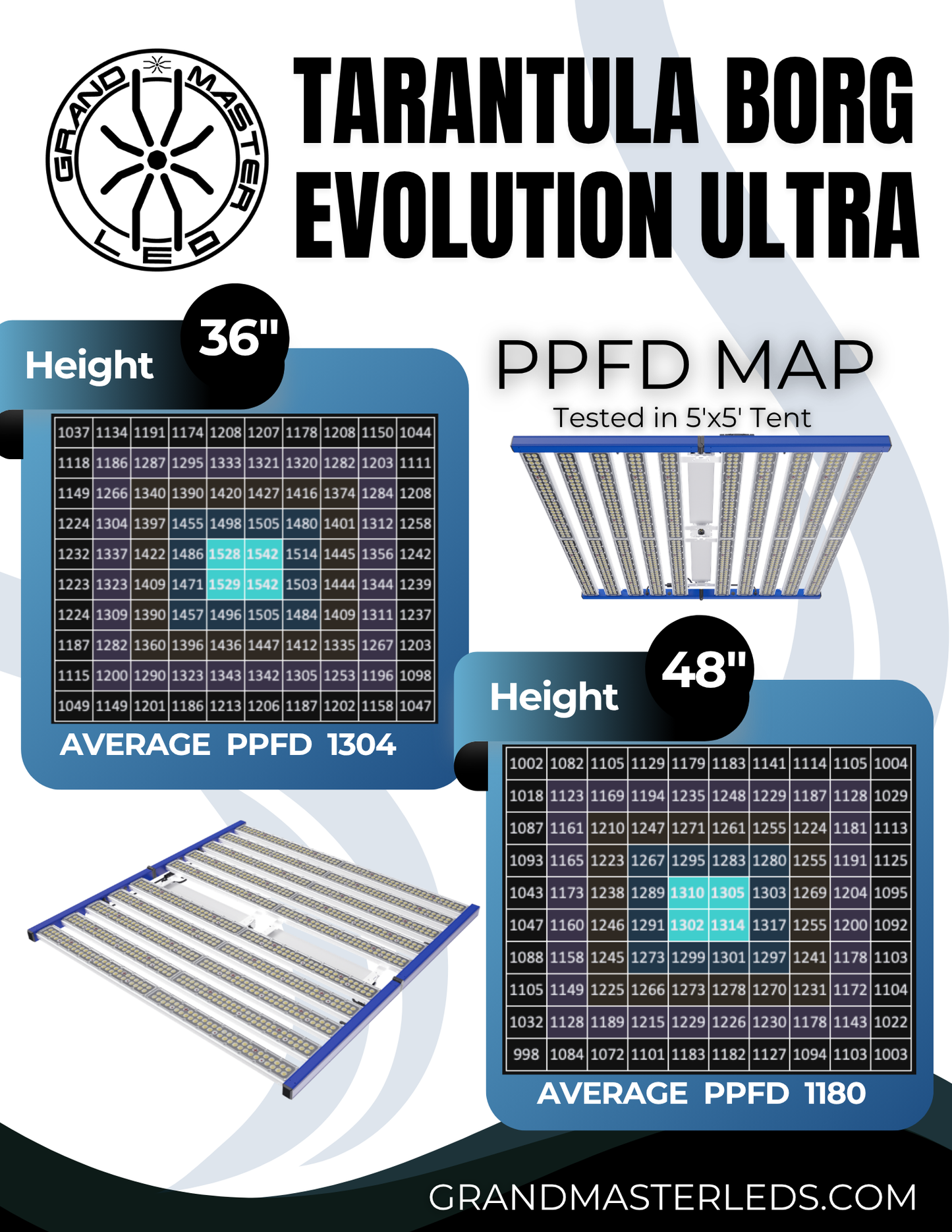 Tarantula Borg Evolution Ultra
