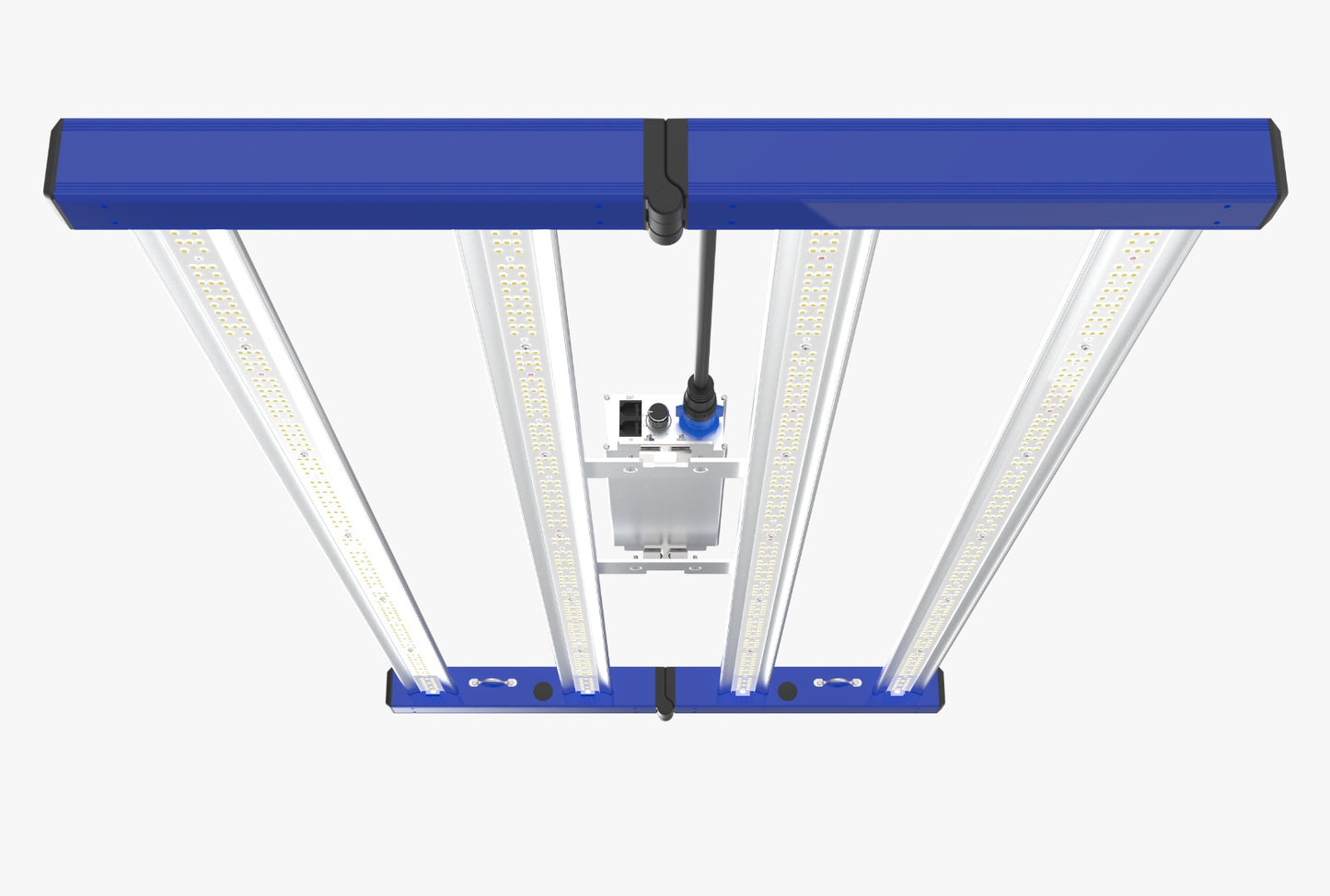 Tarantula Revolution 320