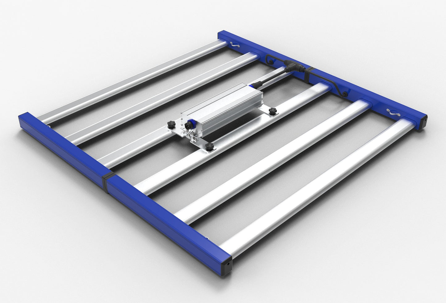 Tarantula Revolution 480