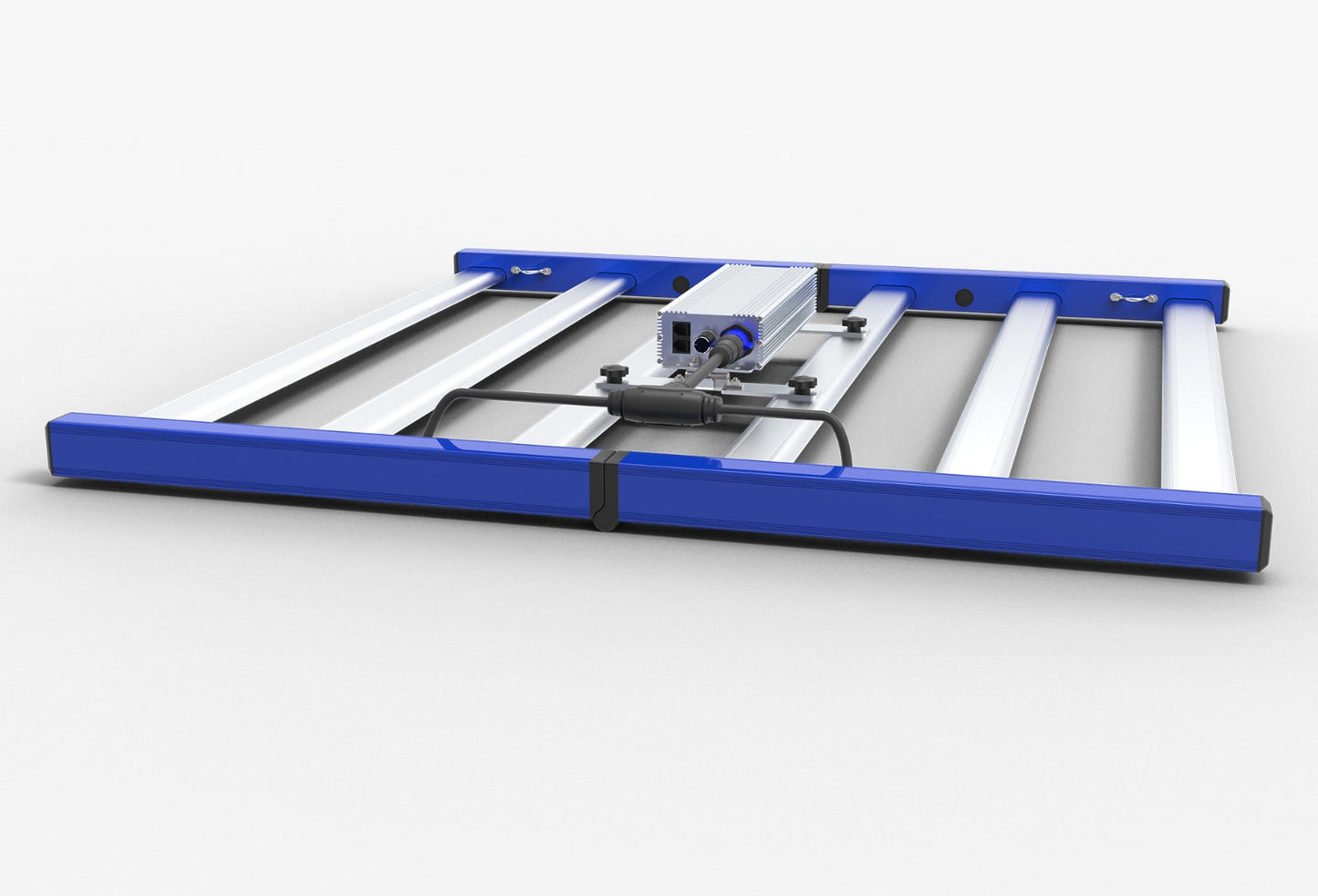 Tarantula Revolution 480