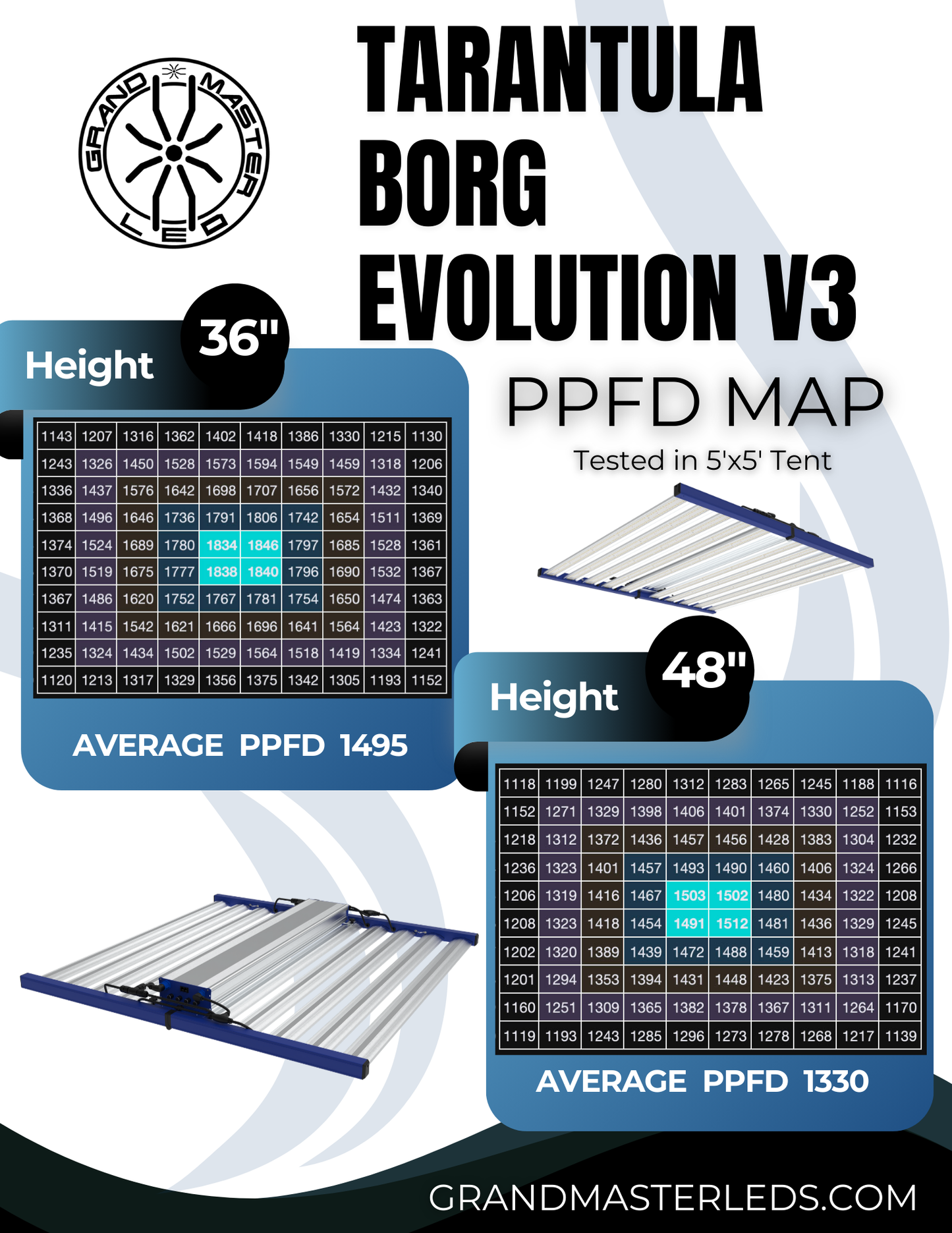 Tarantula Borg Evolution V3