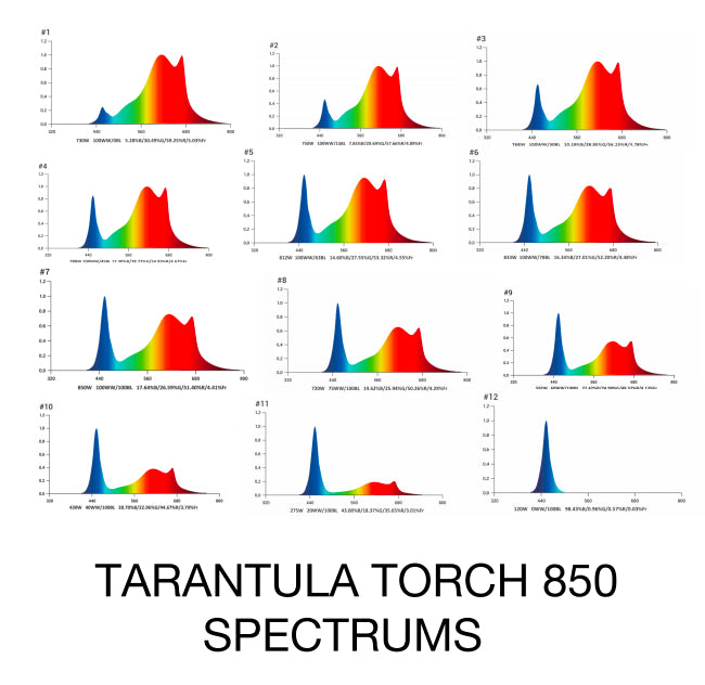 Tarantula Torch 850 HPS/MH