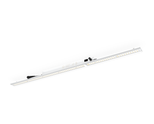 Tarantula 2200K Booster Bar Pair