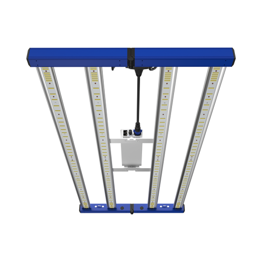 Tarantula Tent Ultimate 2x4 V2