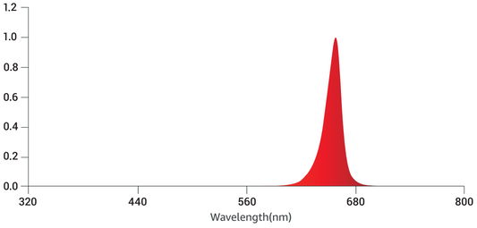 Tarantula 660nm Booster Bar Pair
