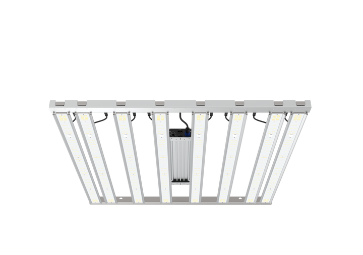 Grand Master LEDs – Grand Master LEDs USA