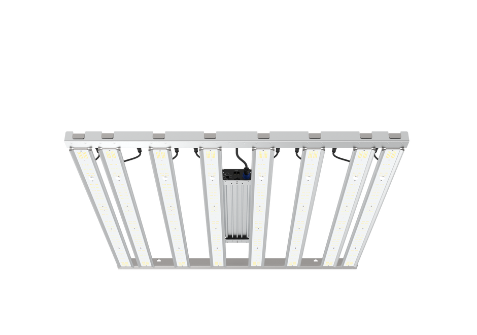 Grand Master LEDs – Grand Master LEDs USA