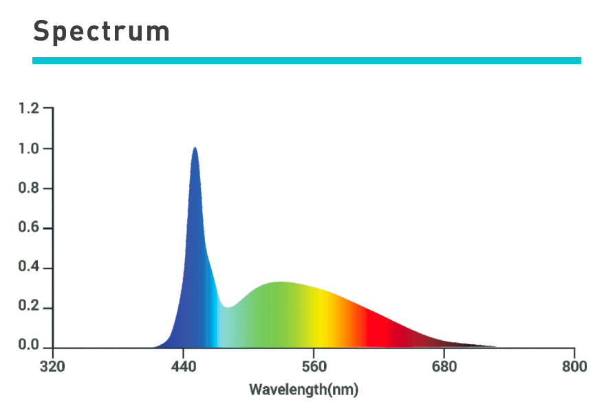 Tarantula 9000K Booster Bar Pair