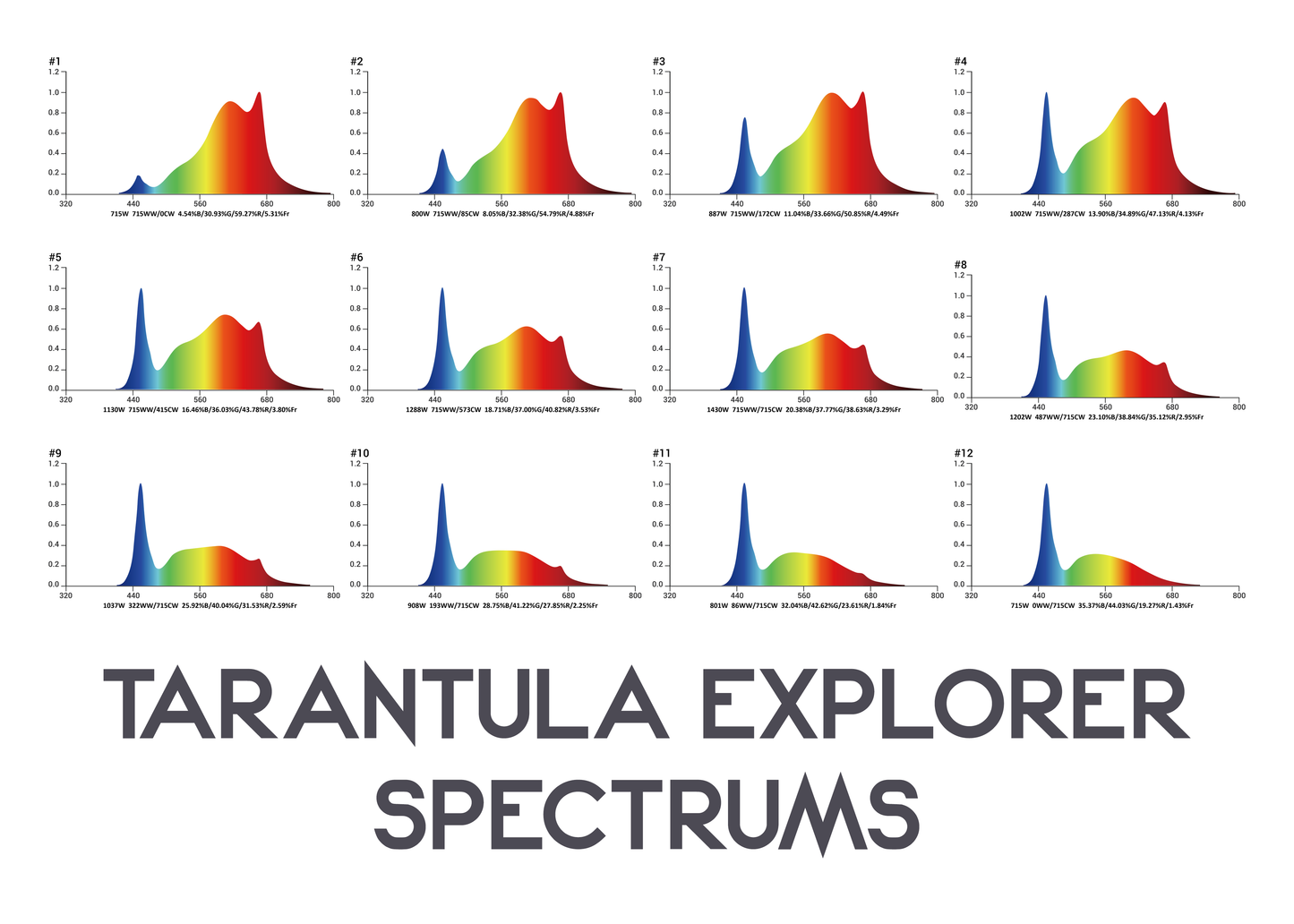 Tarantula Explorer