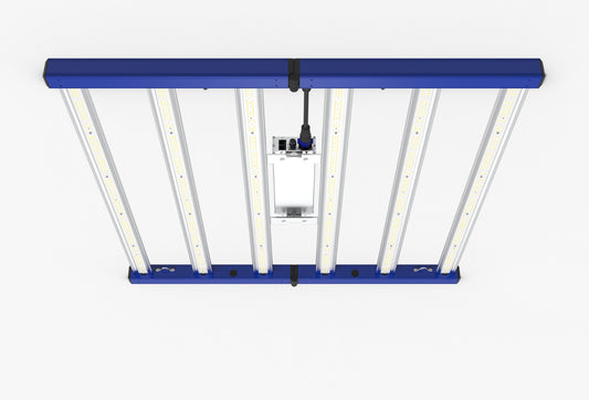 Tarantula Revolution 480