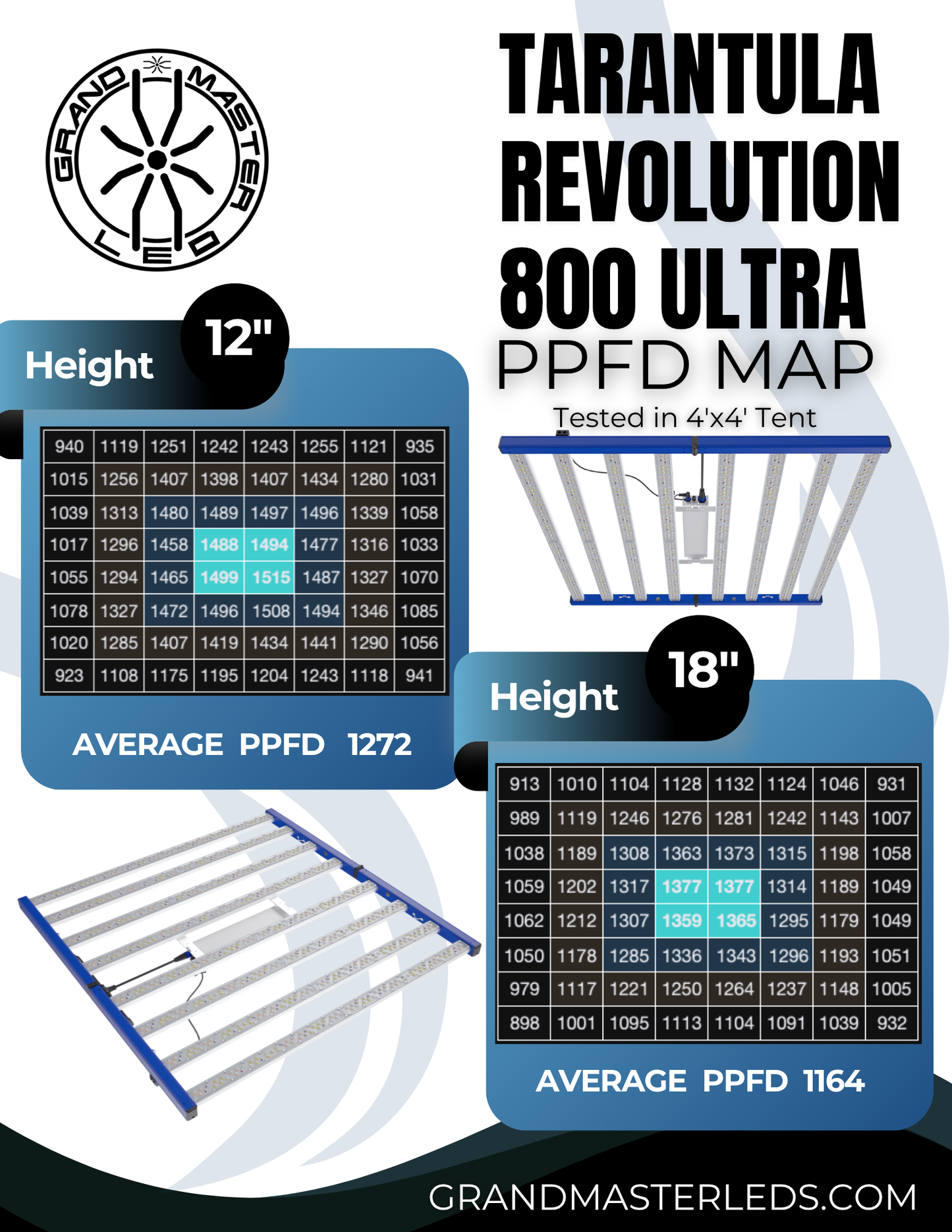 Tarantula Revolution 800 Ultra