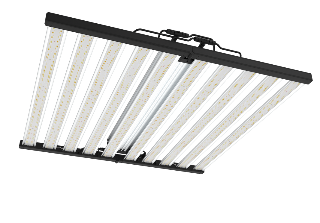 ALL LED LIGHTS – Grand Master LEDs USA