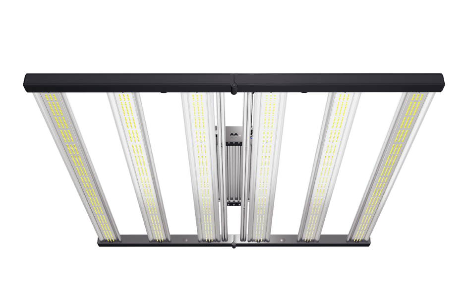 All Products – Grand Master LEDs USA