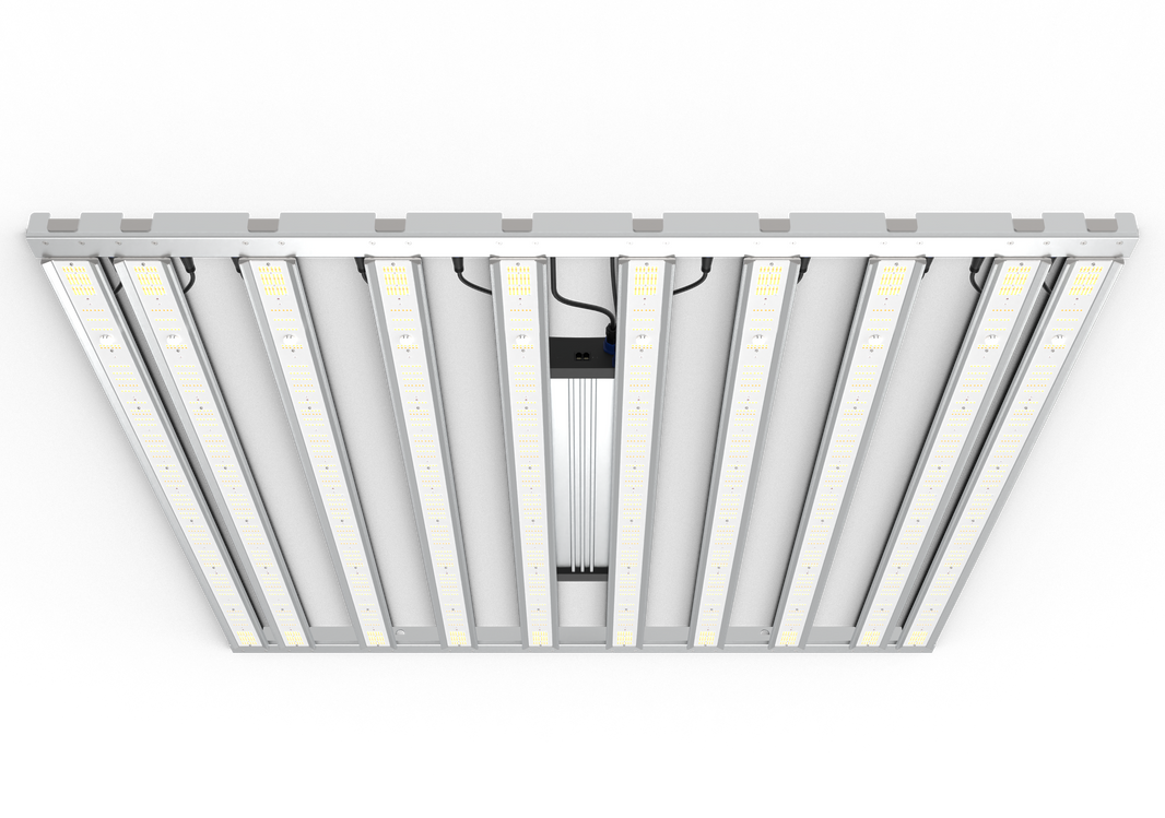 ALL LED LIGHTS – Grand Master LEDs USA